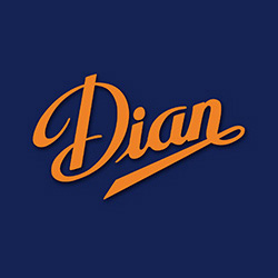 logo_dian